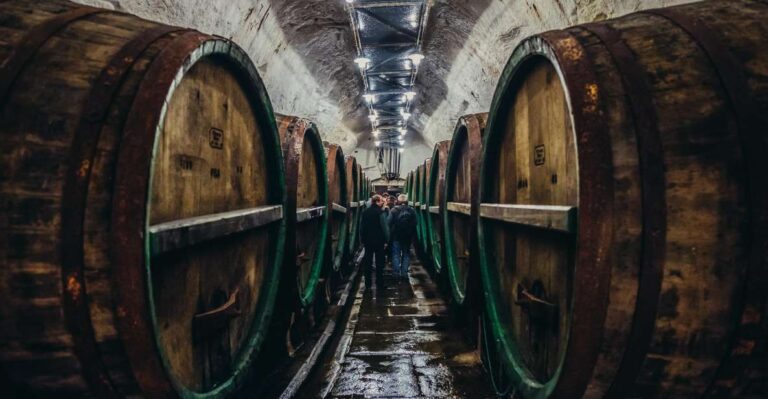 Private Tour to Pilsner Urquell From Prague