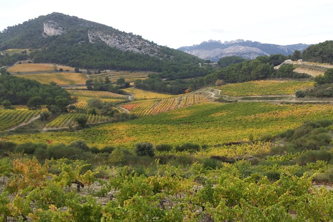 Provence Cru Wine Small-Group Half-Day Tour From Avignon - Customer Feedback