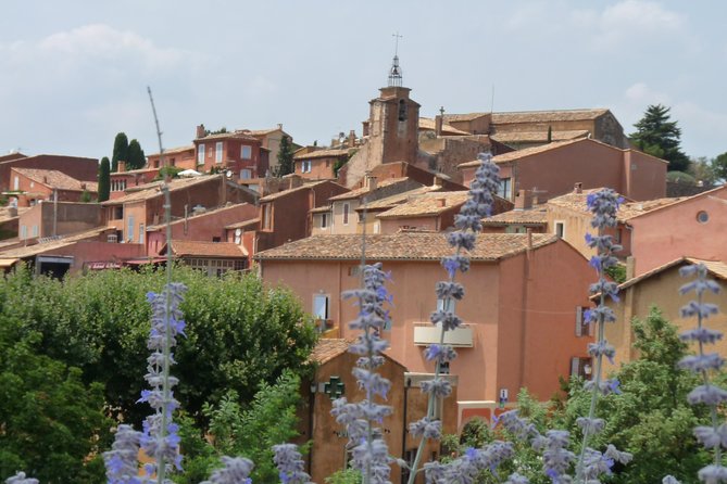 Provence Lavender Full Day Tour From Avignon