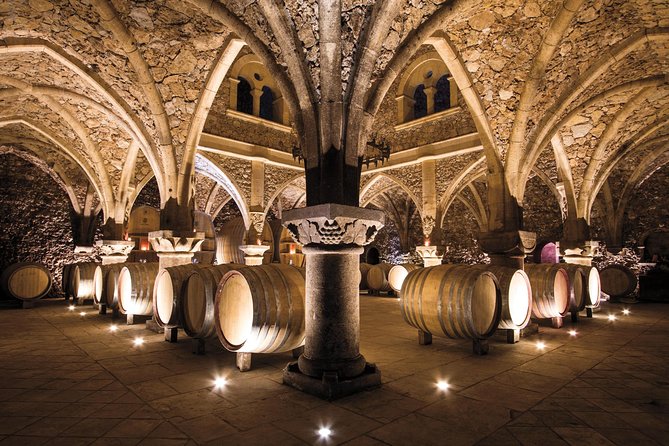 Provence Wine Tour - Private Day Tour From Nice - Tour Itinerary and Highlights