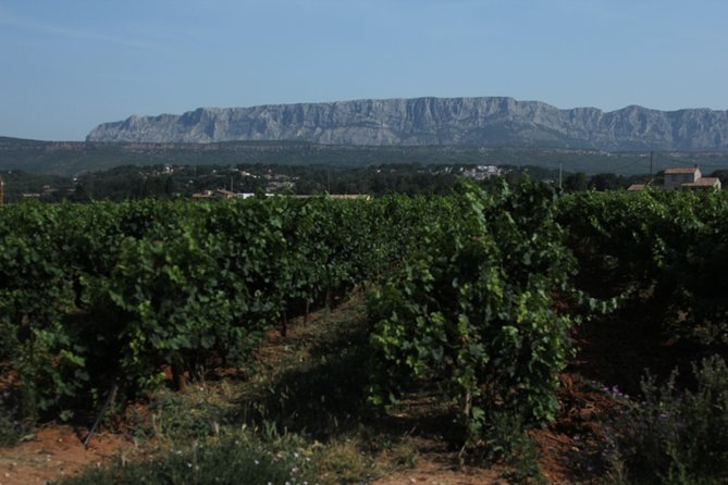 Provence Wineries and Luberon Villages Day Trip From Aix-En-Provence - Activities and Transportation