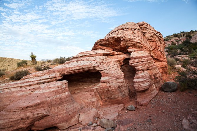Red Rock Canyon Hiking Tour With Transport From Las Vegas - Trail Options