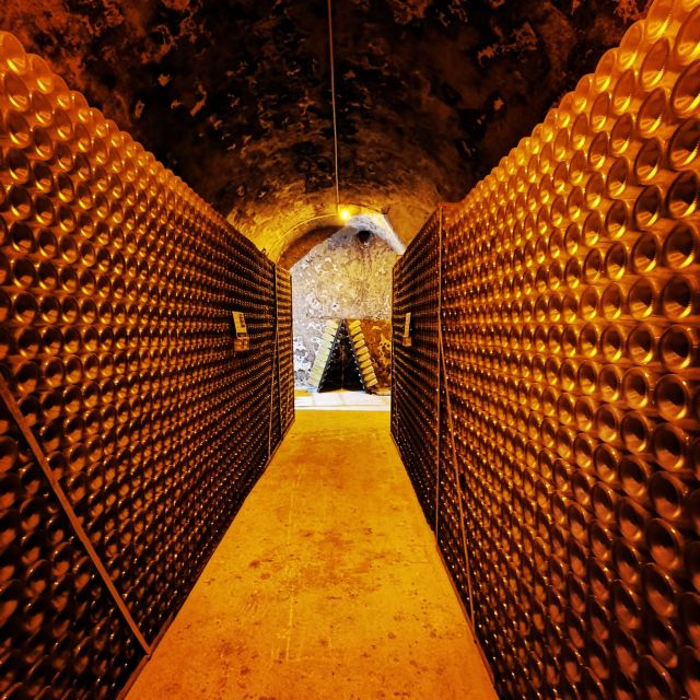 Reims/Epernay: Private Moet & Chandon Winery Tour & Tastings - Activity Details