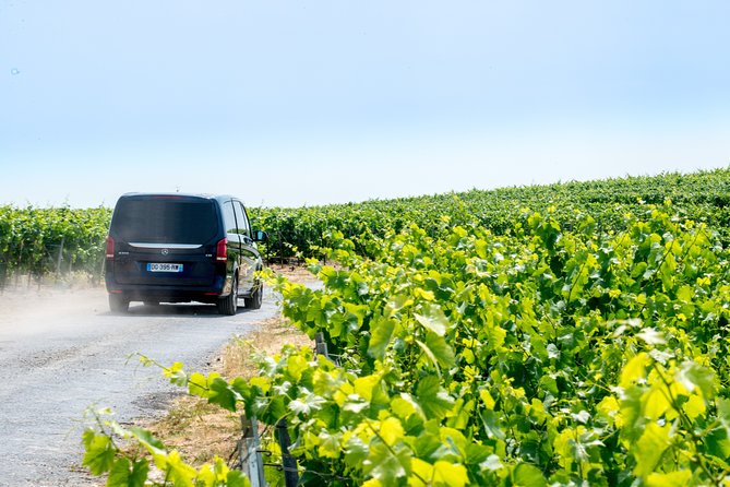 Reims or Epernay Region: Half Day Private Tour Minivan and Driver at Disposal - Tour Options