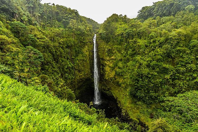 Road To Hana: Maui Waterfall Hiking Tour in Private Jeep - Tour Highlights