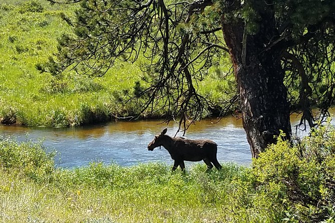 Rocky Mountain National Park and Estes Park Tour From Denver Winter and Spring - Tour Highlights