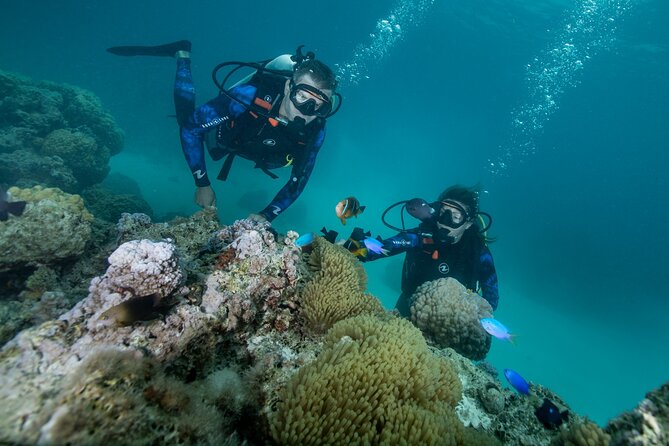 Romantic Dive in the Lagoon of Bora Bora - Booking Information