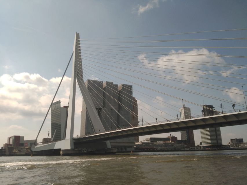 Rotterdam Architecture: Centre and South Bank With Watertaxi - Tour Overview