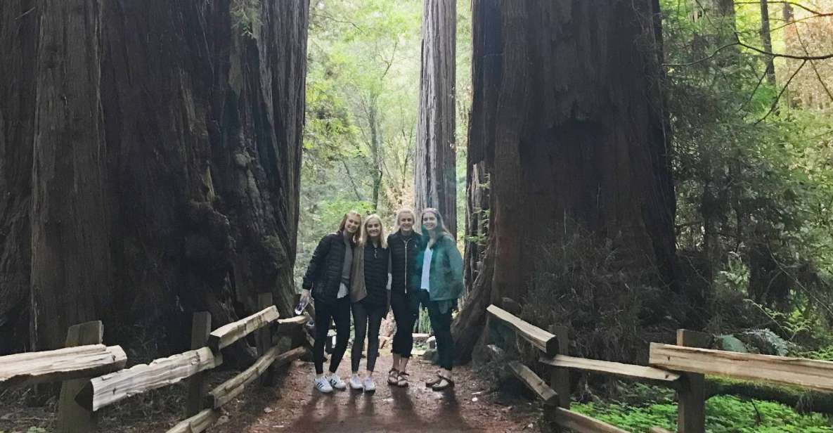 San Francisco Tour to Muir Woods Giant Redwoods & Sausalito - Activity Details