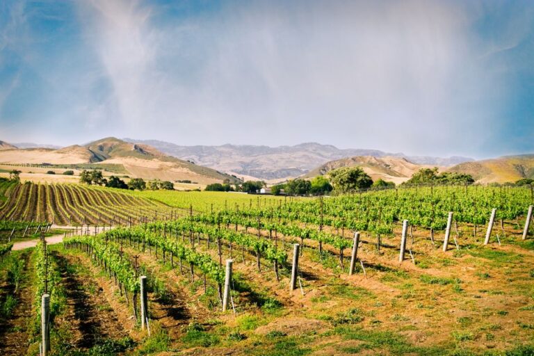 Santa Barbara: Wine Country Tour With Lunch