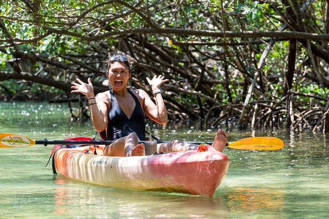 Sarasota Mangroves Kayaking Small-Group Tour