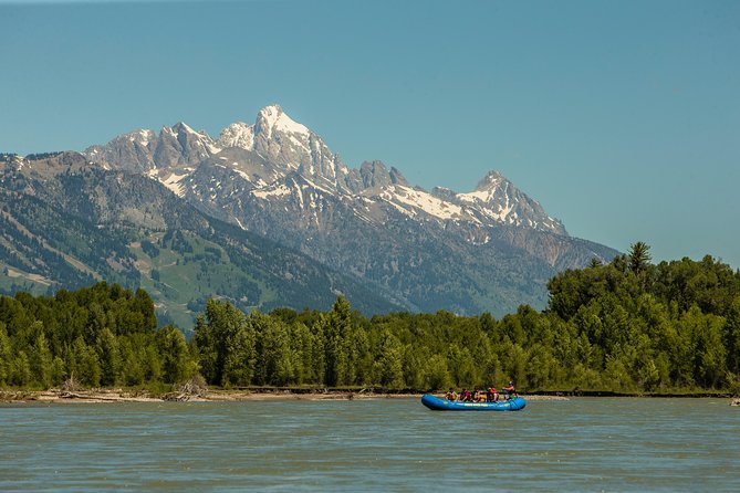 Scenic Wildlife Float in Jackson Hole - Wildlife Viewing Opportunities