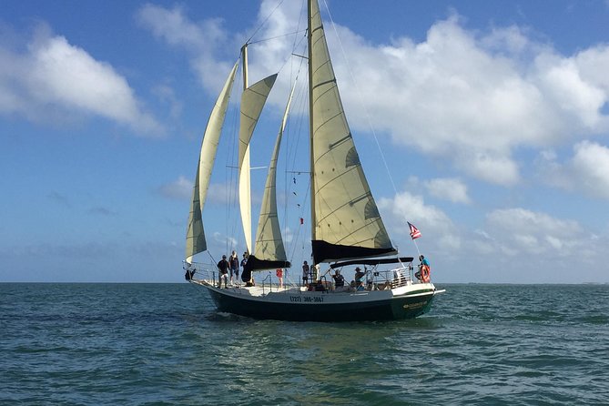 Schooner Clearwater- Afternoon Sailing Cruise-Clearwater Beach - Experience Details