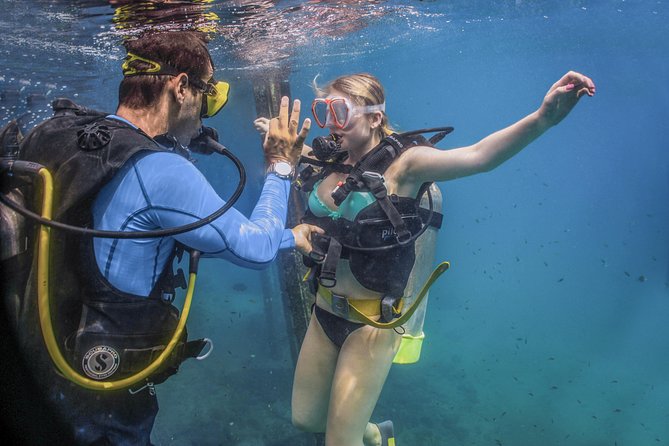 Scuba Diving With a 5-Star PADI Center in Puerto Vallarta - Experience Highlights