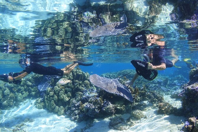 Sea Scooter Jet Snorkeling "Moorea Reef Adventure" - Pricing and Booking Details