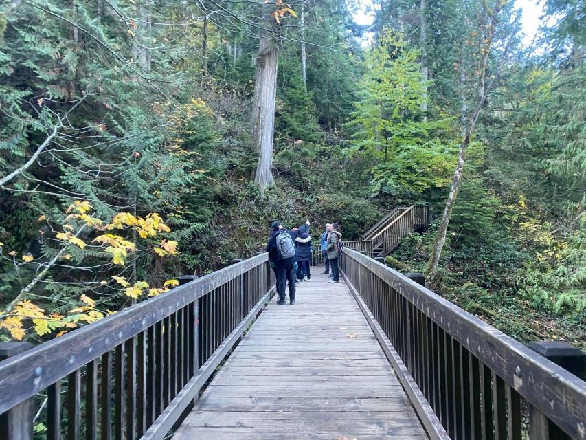 Seattle: Sensory Hike in Twin Fall for Adventurous Families - Activity Overview