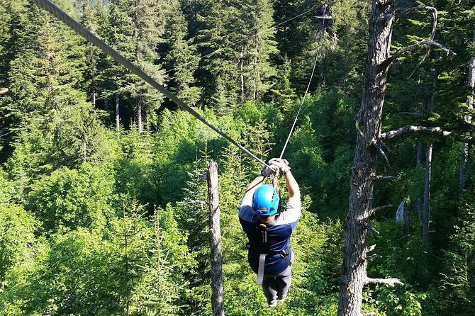 Seward Alaska Small-Group Ziplining Experience in Nature - Experience the Alaskan Wilderness