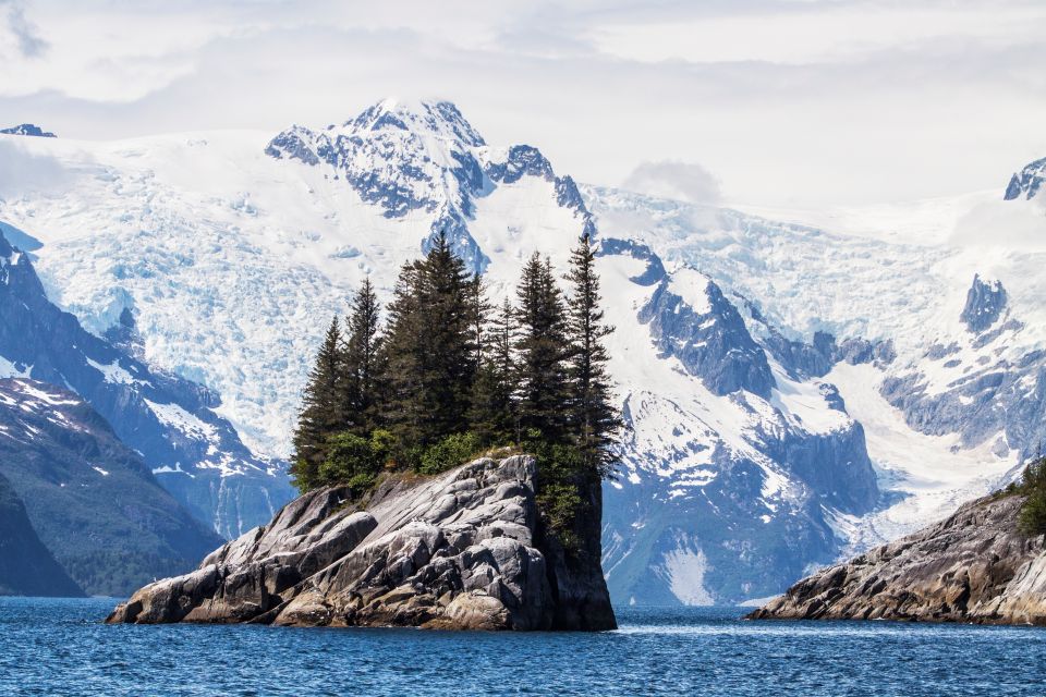 Seward: Kenai Fjords National Park 6-Hour Cruise - Wildlife Encounters on the Cruise