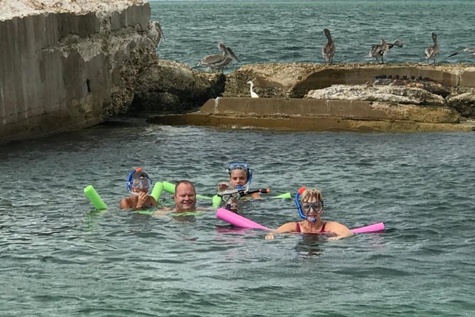 Small Group 2 Hour Dolphin Cruise With Snorkeling to Shell Key - Booking Information