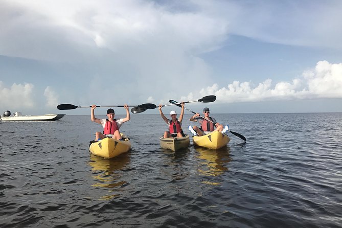 Small Group Boat, Kayak and Walking Guided Eco Tour in Everglades National Park