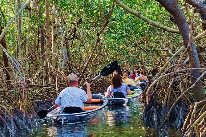 Small-Group Clear Kayak Tour in Shell Key - Tour Details