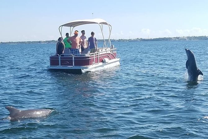Small Group Florida Keys Eco Tour by Boat