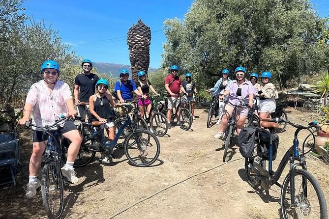 Small Group Guided E-bike Tour in Nices Organic Vineyard