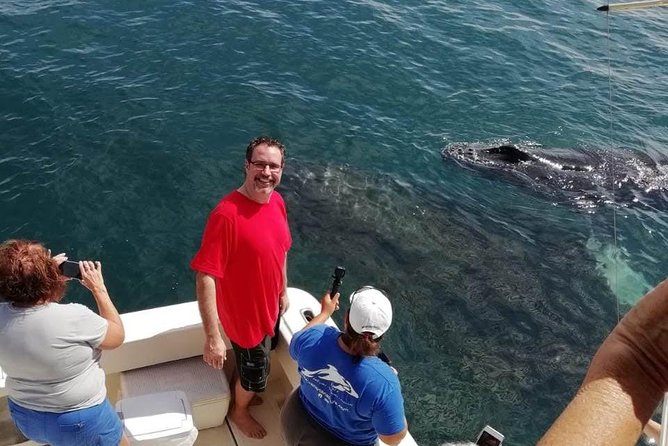 Small-Group Half-Day Whale-Watching Tour in Puerto Vallarta