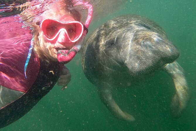 Small Group Manatee Snorkel Tour With In-Water Guide and Photographer - Tour Details