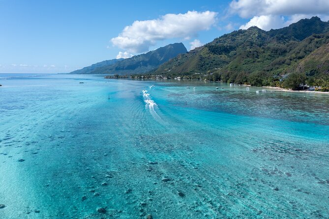 Snorkeling Excursion and Encounter With Marine Fauna in Moorea - Snorkeling at Coral Farms
