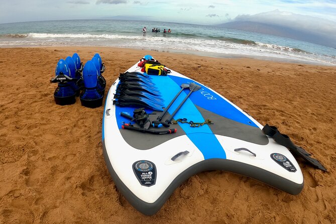 Snorkeling for Non-Swimmers at Wailea Beach - Experience Details