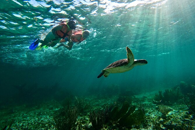 Snorkeling Guided Activity in Puerto Morelos Mexico