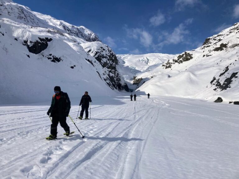 Snowmobile and Snowshoe Dual Adventure From Seward, AK