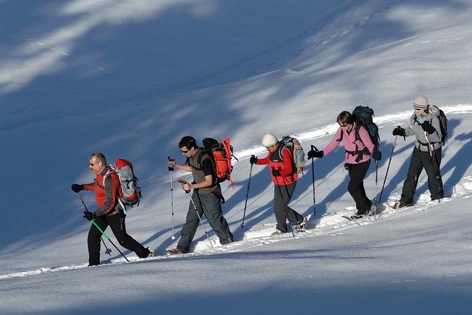 Snowshoe Hiking in Chamonix, a Winter Wonderland - Snowshoeing Experience in Chamonix