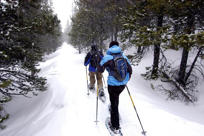 Snowshoeing Tour in Jacques-Cartier National Park - Logistics and Booking