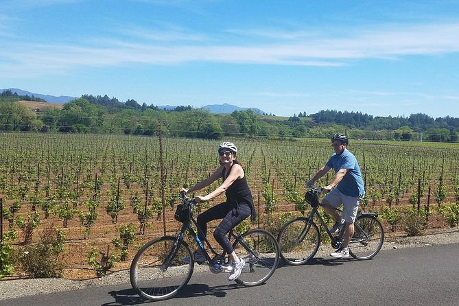 Sonoma Valley Pedal Assist Bike Tour With Lunch - Tour Overview