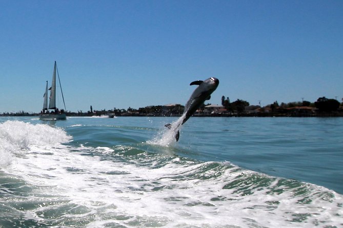 St. Pete Beach Dolphin Racer Speedboat Adventure