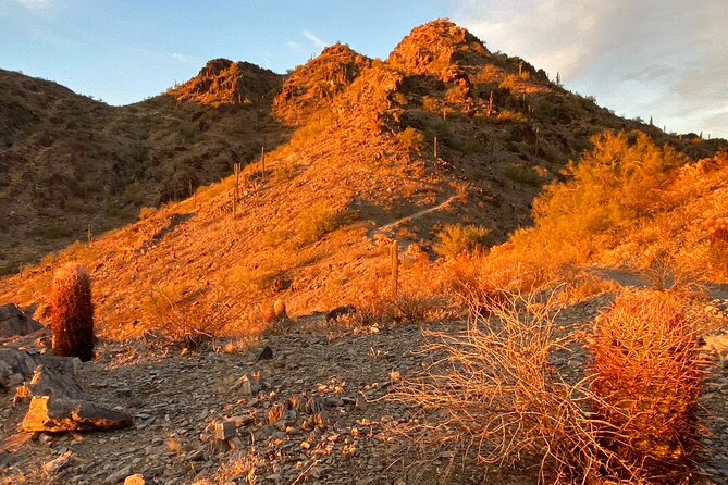 Stunning Sunrise or Sunset Guided Hiking Adventure in the Sonoran Desert - Safety Measures and Essentials