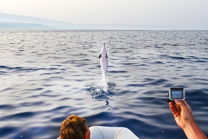 Sustainable Dolphin Watching Tour With Marine Biologist  – Sicily