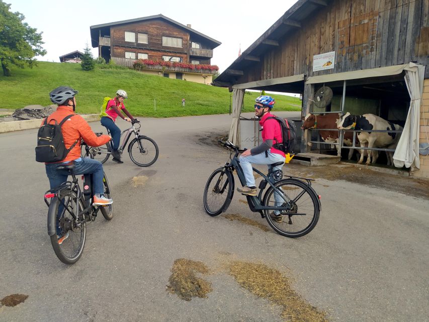 Swiss Army Knife Valley Bike Tour and Lake Lucerne Cruise - Activity Details