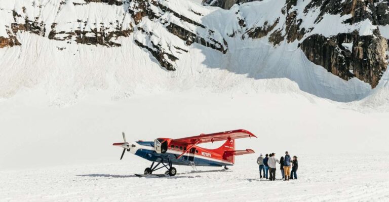 Talkeetna: Grand Denali Flight With Optional Glacier Landing
