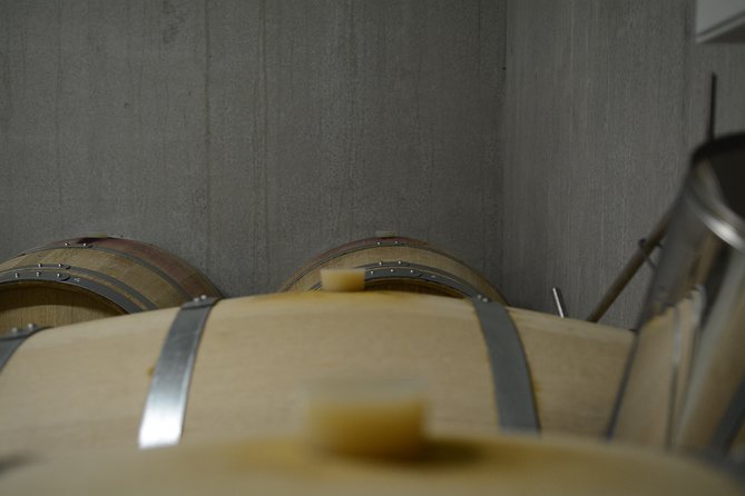 The CUBE: Private Tour of Semi-Gravity Cubist Cellar With Wine Tasting - Tour Highlights
