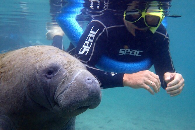 The OG Manatee Snorkel Tour With In-Water Guide/PhotOGrapher - Tour Details