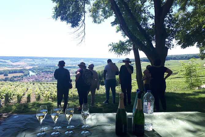 The Unmissable: Champagne Tasting at the Tops of the Vines