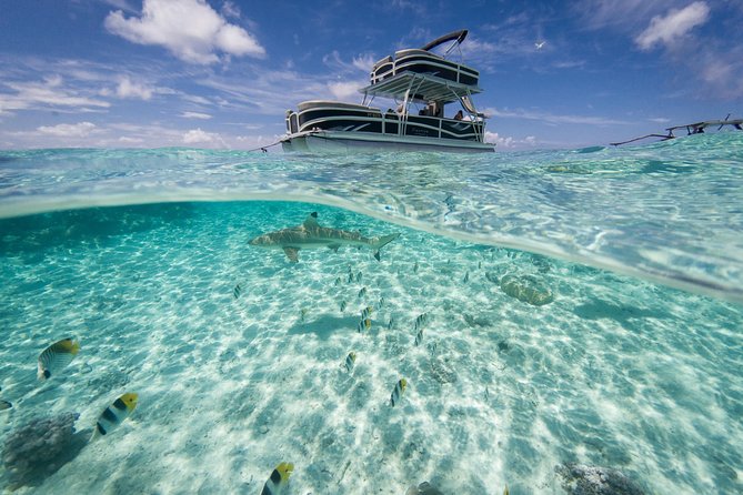 Toa Boat Bora Bora Private Lagoon Tour on Ambassador Boat - Tour Highlights