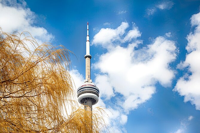 Toronto Downtown and Highlights Walking Tours - Tour Details