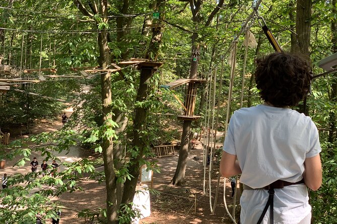 Tree Top Adventure in Forest of Meudon