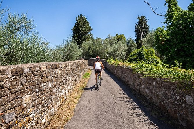 Tuscan Country Bike Tour With Wine and Olive Oil Tastings