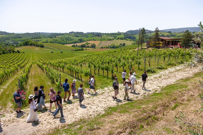 Tuscany Day Trip From Florence: Siena, San Gimignano, Pisa and Lunch at a Winery - Lunch at a Winery Experience
