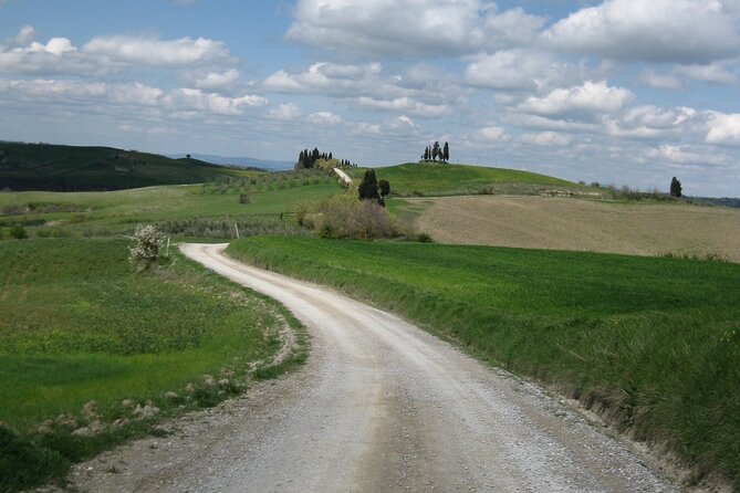 Tuscany Hiking Tour From Siena Including Wine Tasting - Tour Overview and Logistics